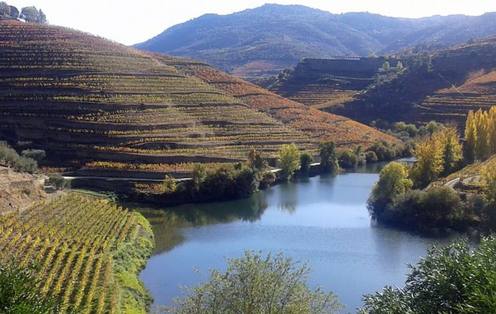 Douro Valley Private Driver - Douro Valley Private Guide, Douro Valley Transfers