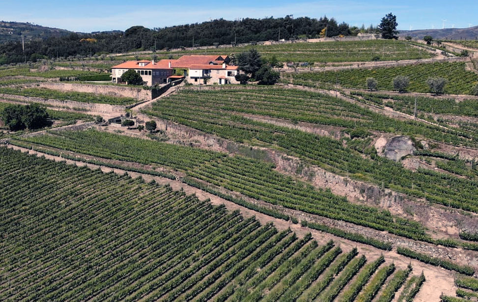 Lamego: Quinta da Portela de Baixo Winery Tour and Tasting